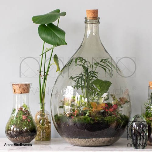 ایده های خلاقانه برای گلدان و گیاهان